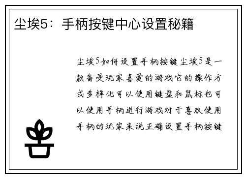尘埃5：手柄按键中心设置秘籍