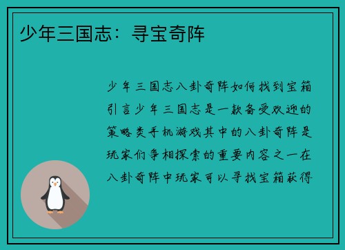 少年三国志：寻宝奇阵