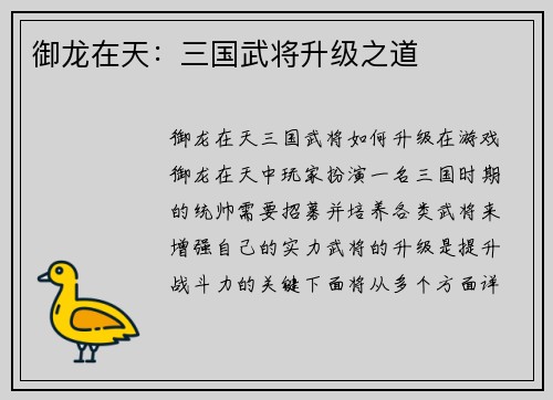 御龙在天：三国武将升级之道